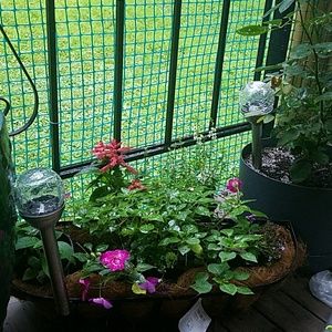 Meet your Posher, Jonna